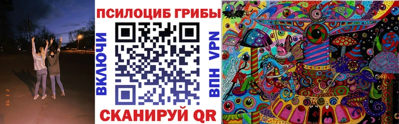 Псилоцибиновые грибы Psilocybine cubensis Зверево